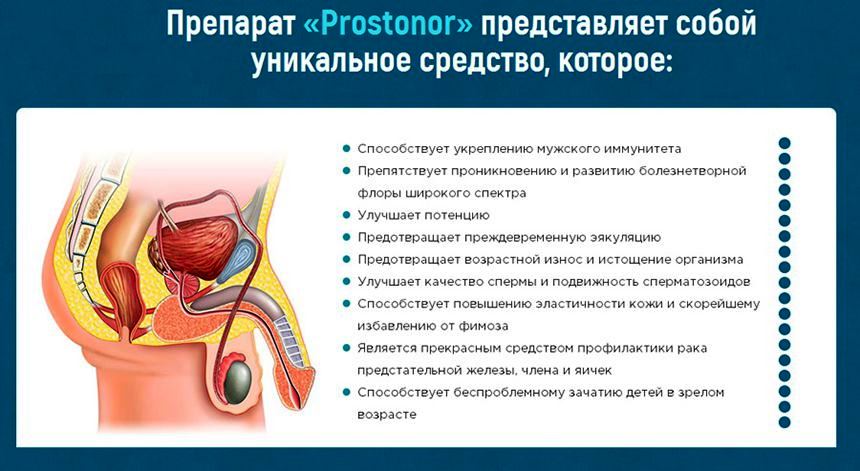 Капли Prostonor