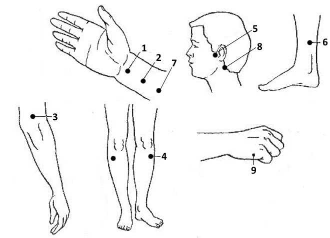 Схема точек массажа при заикании