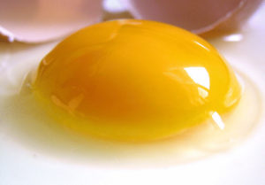 Сырые яйца при гастрите