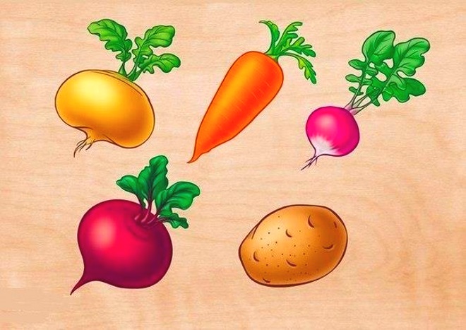 Плакат овощи 2